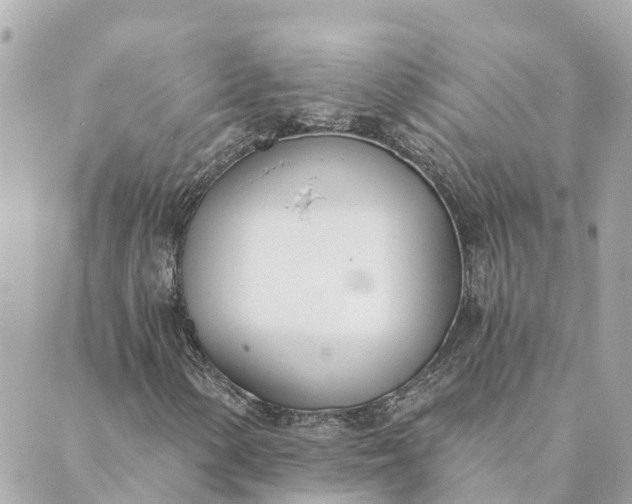 X0000089421154200706291026