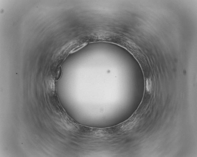 X0000089421155200706291026