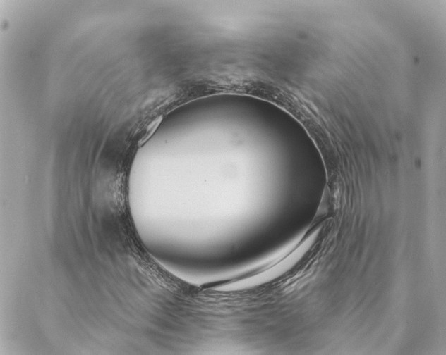 X0000089421156200706291026