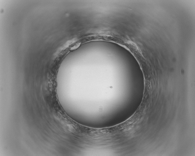 X0000089421159200706291026