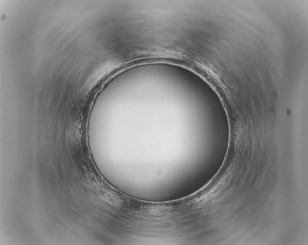 X0000089421163200706291025