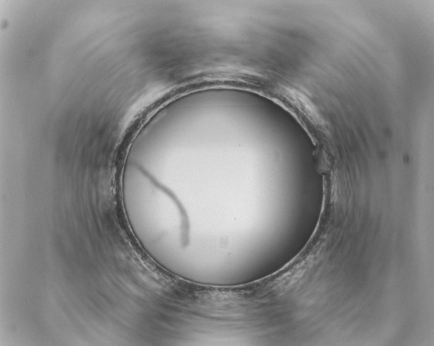 X0000089421164200706291025