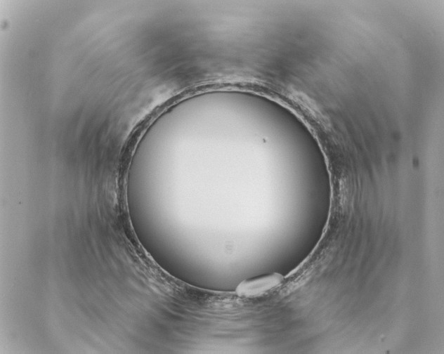 X0000089421165200706291025