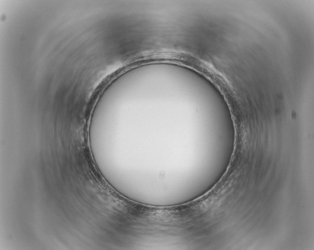 X0000089421166200706291025