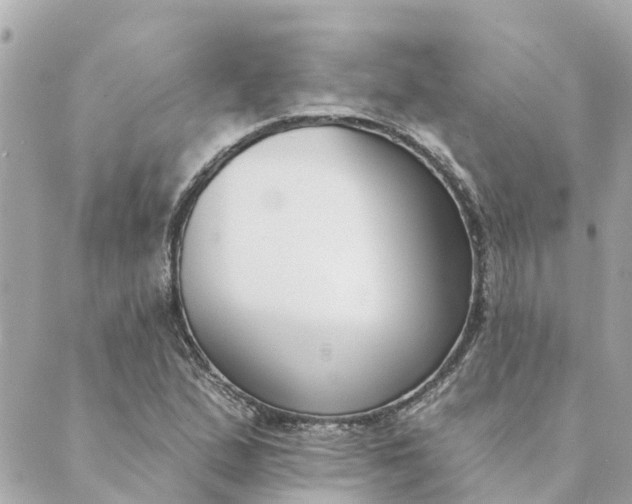 X0000089421167200706291025