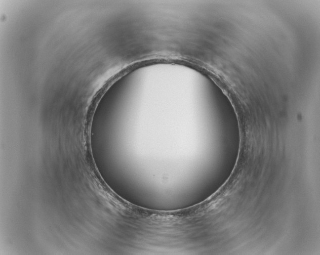 X0000089421168200706291025