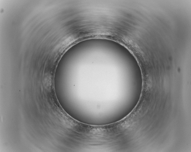 X0000089421169200706291025