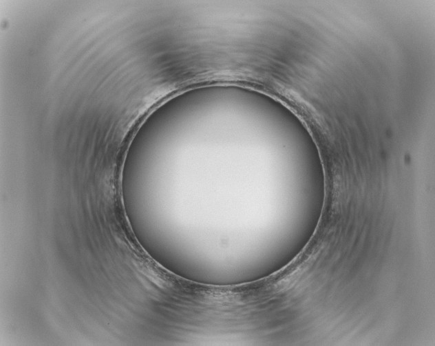 X0000089421170200706291025