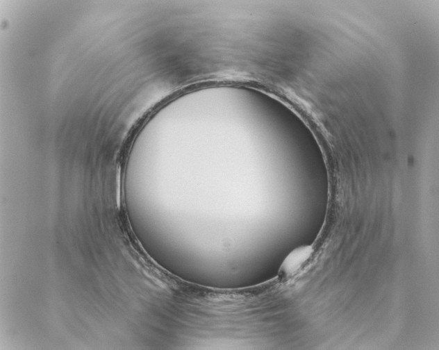 X0000089421171200706291025