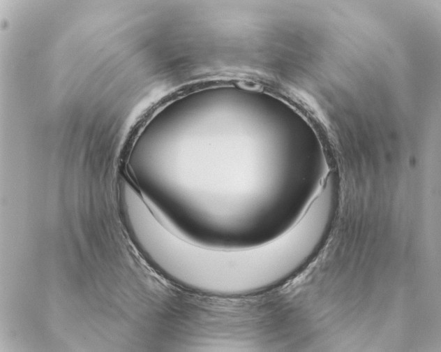 X0000089421172200706291025