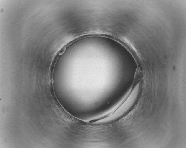 X0000089421173200706291025