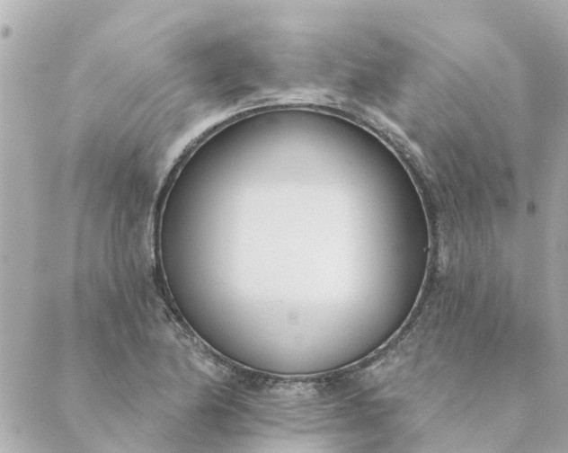 X0000089421174200706291025