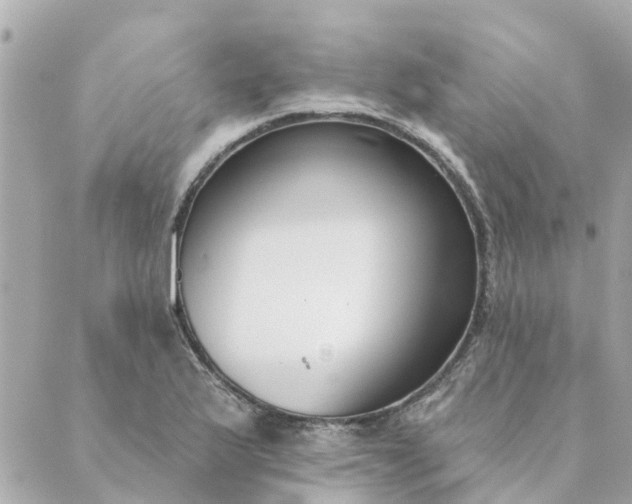 X0000089421175200706291025