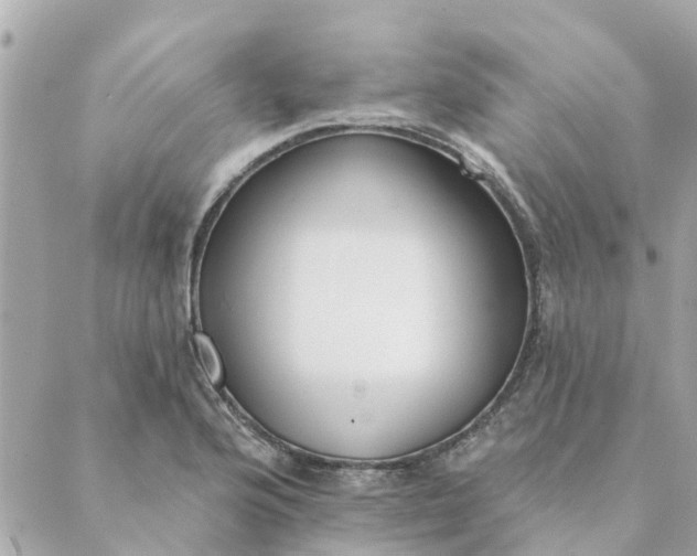 X0000089421176200706291025