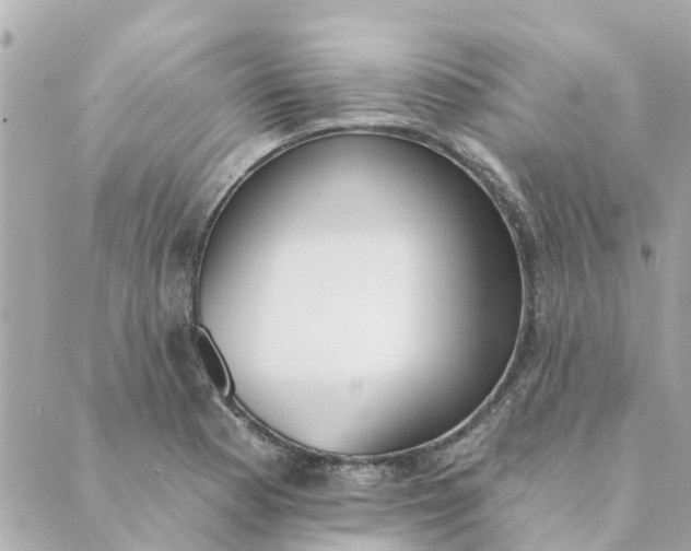 X0000089421177200706291025