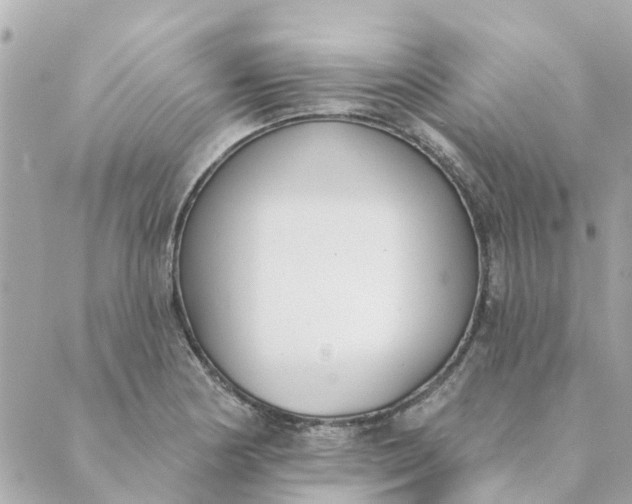 X0000089421178200706291025