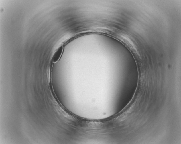 X0000089421180200706291025