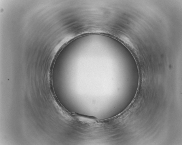 X0000089421181200706291025