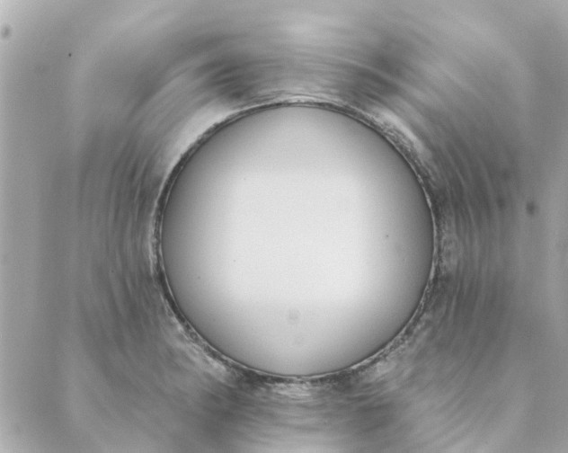 X0000089421182200706291025