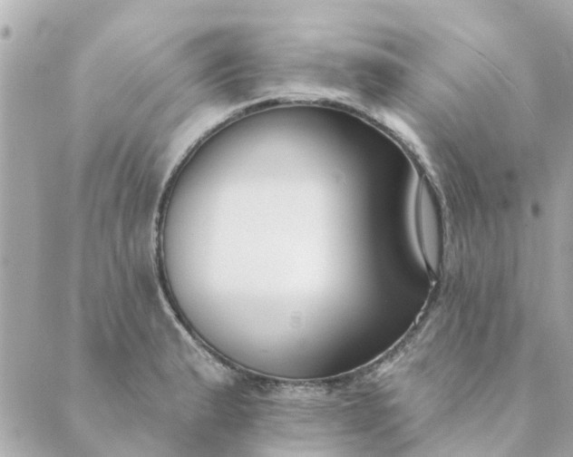 X0000089421183200706291025