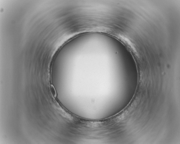 X0000089421184200706291025