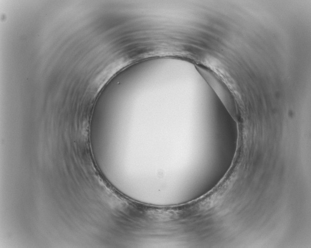 X0000089421185200706291025