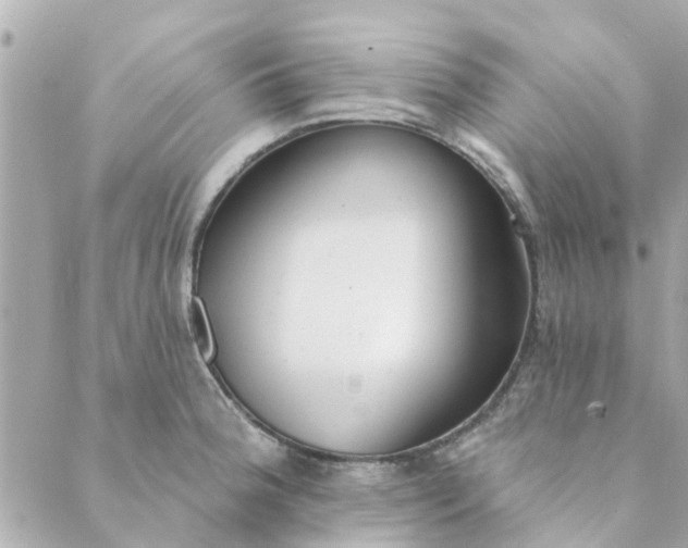 X0000089421188200706291025