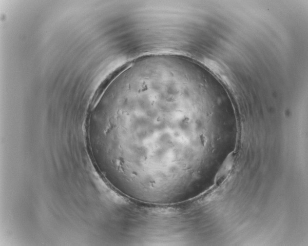 X0000089421189200706291025