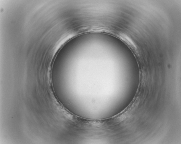 X0000089421190200706291025