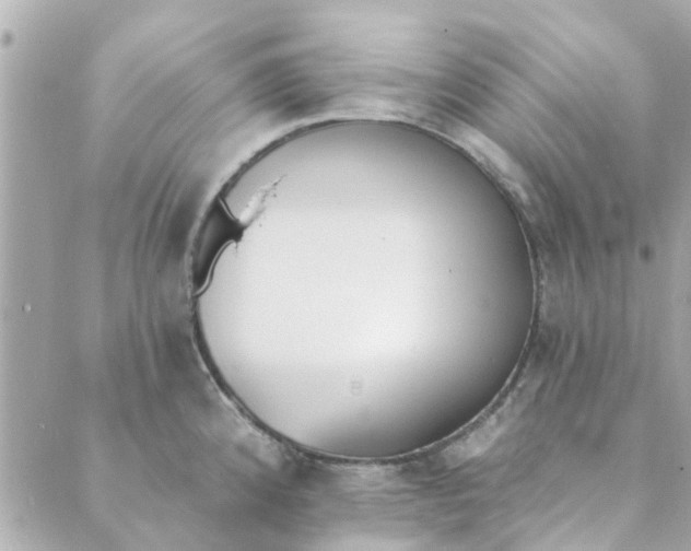 X0000089421192200706291025