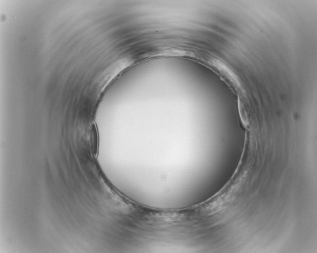 X0000089421193200706291025