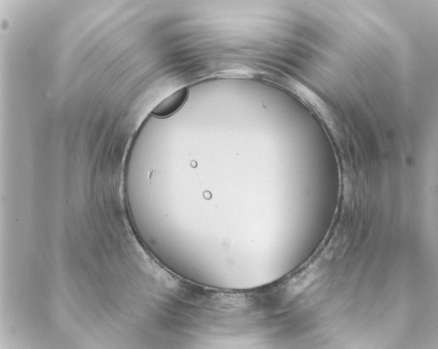 X0000089421194200706291025