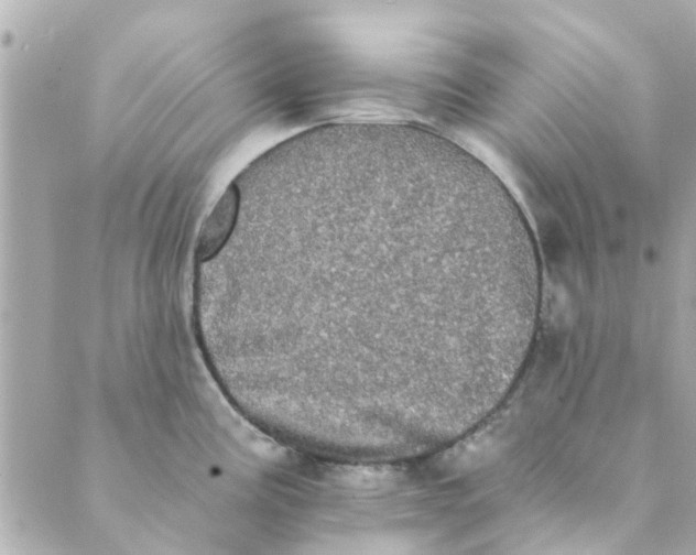 X0000089421195200706291025