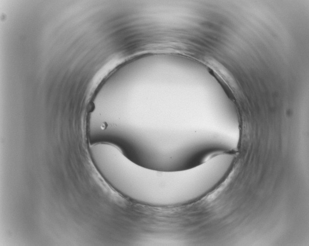 X0000089421196200706291025