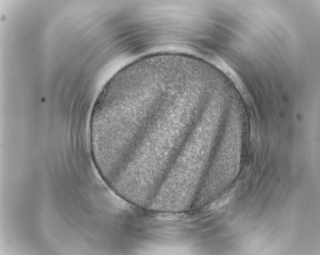 X0000089421199200706291025