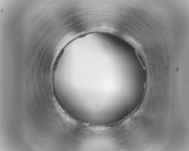 X0000089421200200706291025