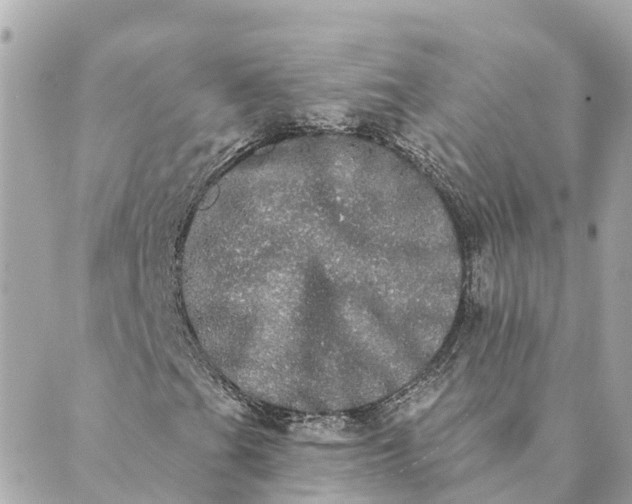 X0000089421201200706291024