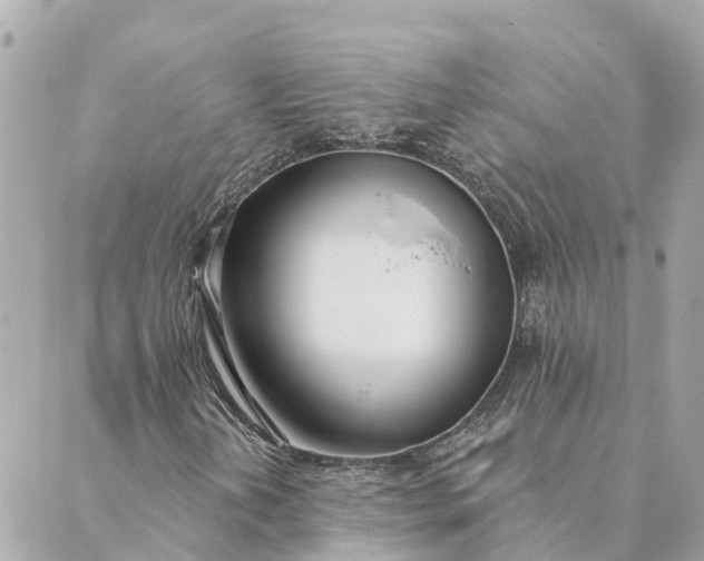 X0000089421202200706291024