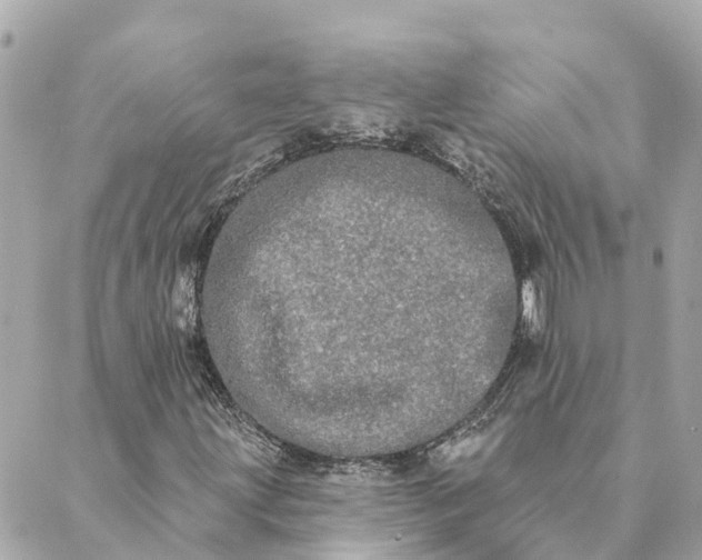 X0000089421203200706291024