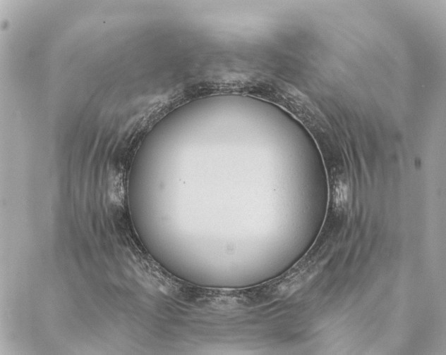 X0000089421204200706291024