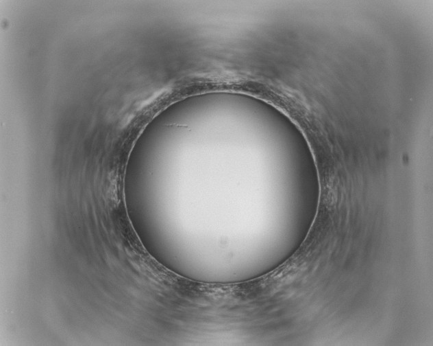 X0000089421205200706291024