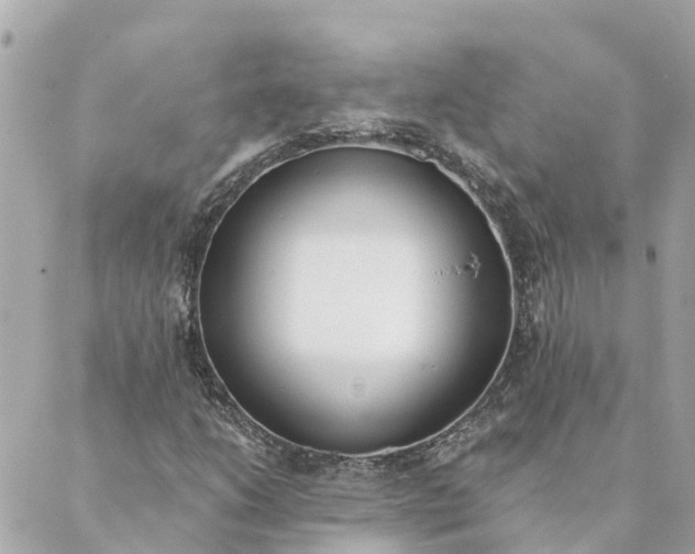 X0000089421206200706291024