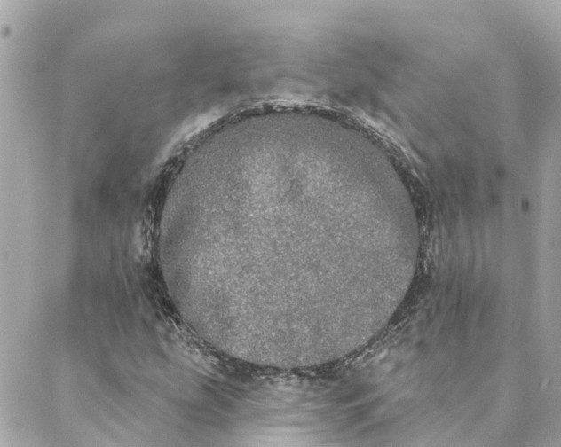 X0000089421207200706291024