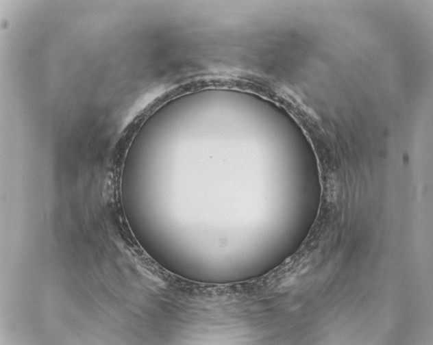 X0000089421208200706291024