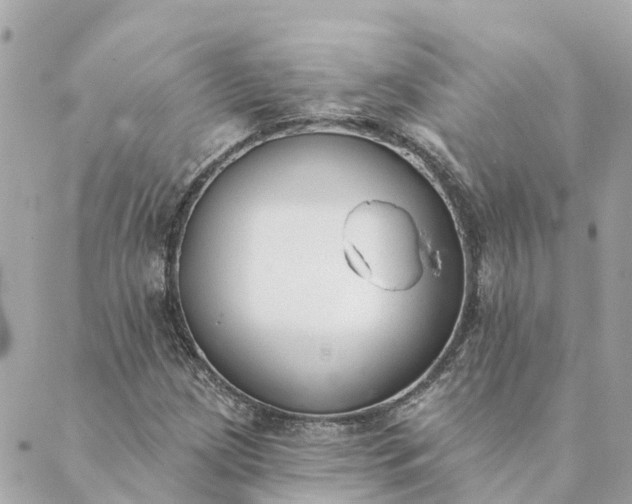 X0000089421209200706291024