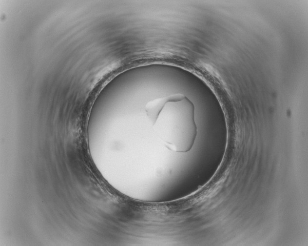 X0000089421210200706291024