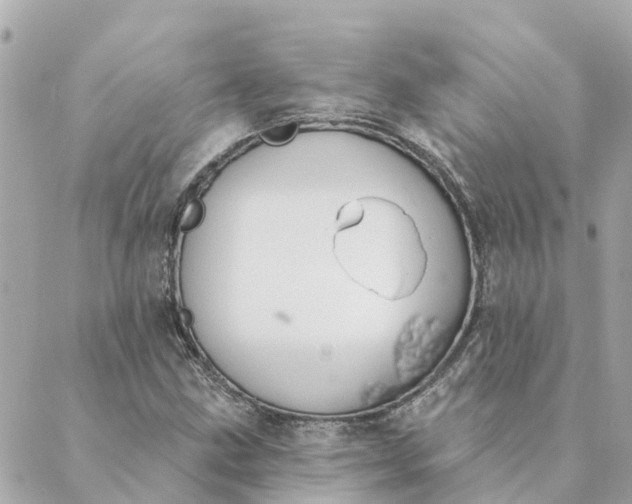 X0000089421211200706291024