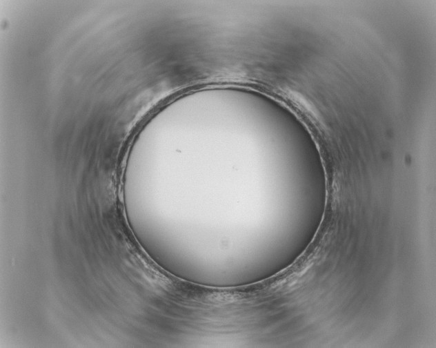 X0000089421212200706291024