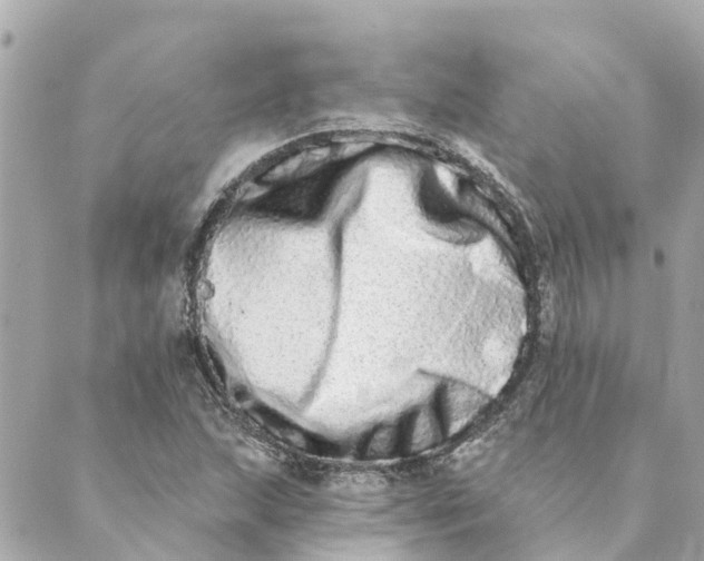 X0000089421215200706291024