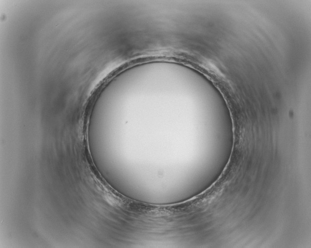 X0000089421216200706291024